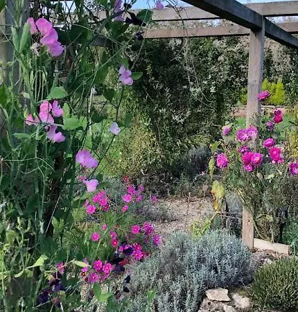 A Country House *